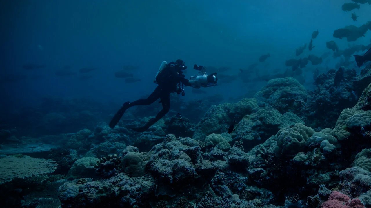 Phim Màn đêm trên Trái Đất: Thước phim trong bóng tối