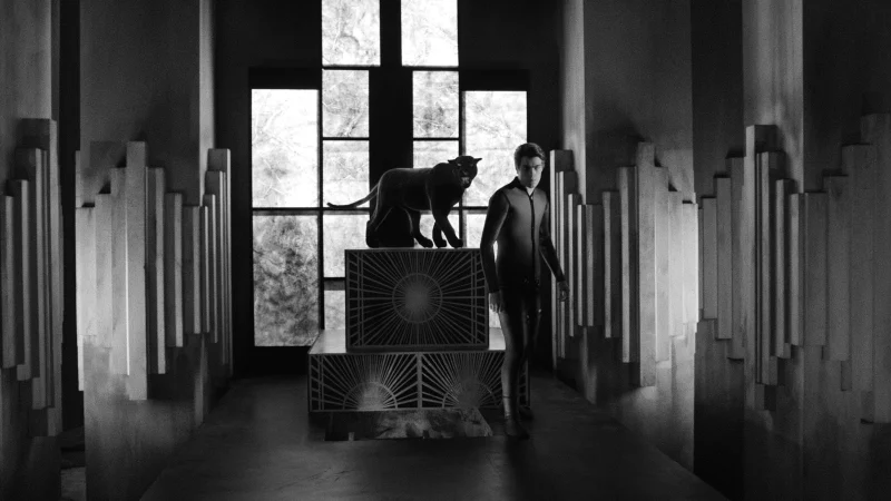 Diabolik Bạn Là Ai