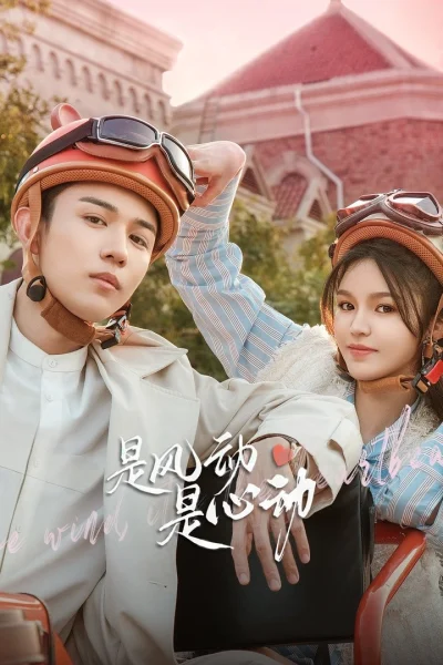 Phim Là Gió Lay Hay Tim Rung Động